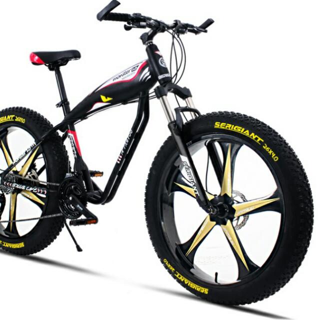 alloy wheels fat bike