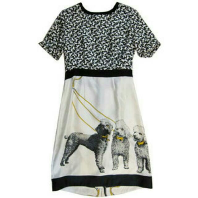Dolce gabbana dog best sale dress
