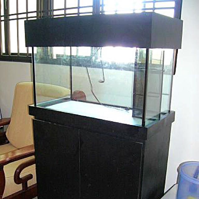 fish filtration system