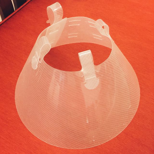 Elizabethan Collar/Buster Collar (Cone of Shame), Pet Supplies, Homes