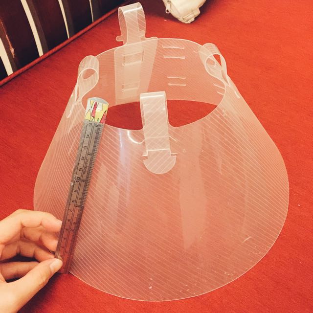 Elizabethan Collar/Buster Collar (Cone of Shame), Pet Supplies, Homes