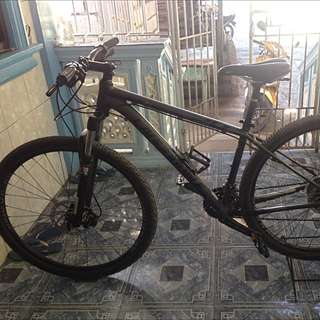 Cannondale 29ers