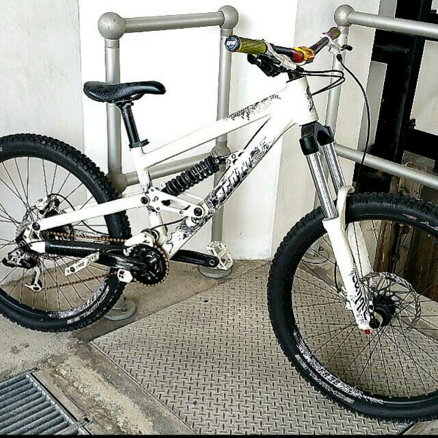 scott voltage dh