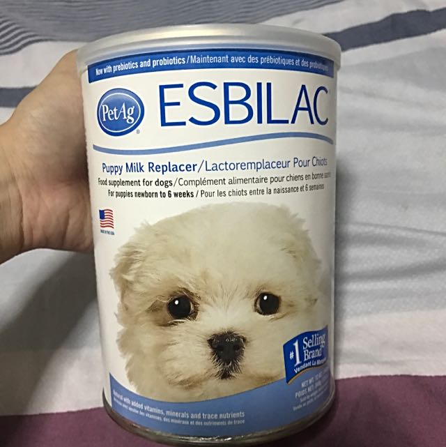 Puppy Milk Powder, Pet Supplies, Pet Food on Carousell
