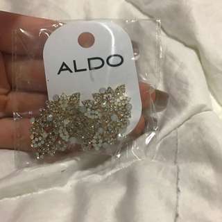 Brand New Aldo Earrings