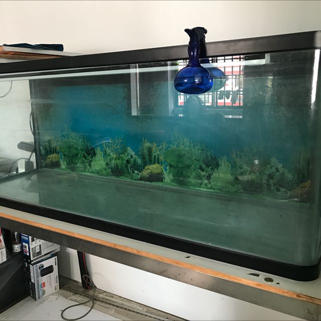 5ft fish sale tank stand