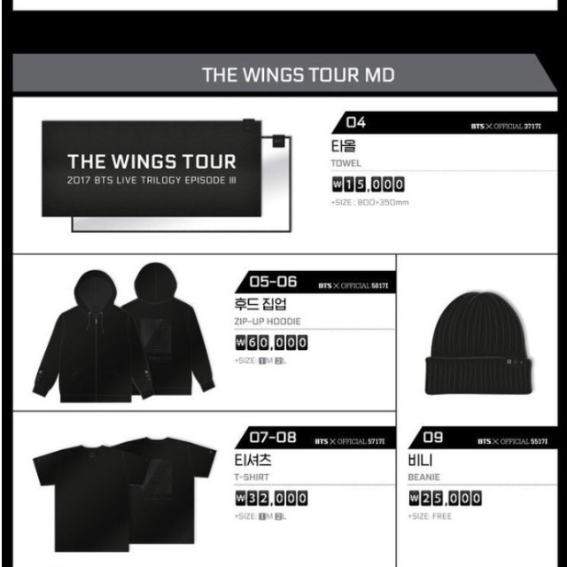 Wings tour best sale hoodie