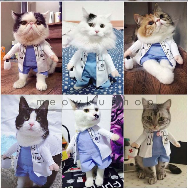 Cat Doctor Costume (Cute Pet Dog Cosplay Baju Doktor Kucing 