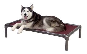 Kuranda elevated dog bed online