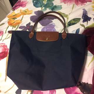 Le Pilage Longchamp Bag