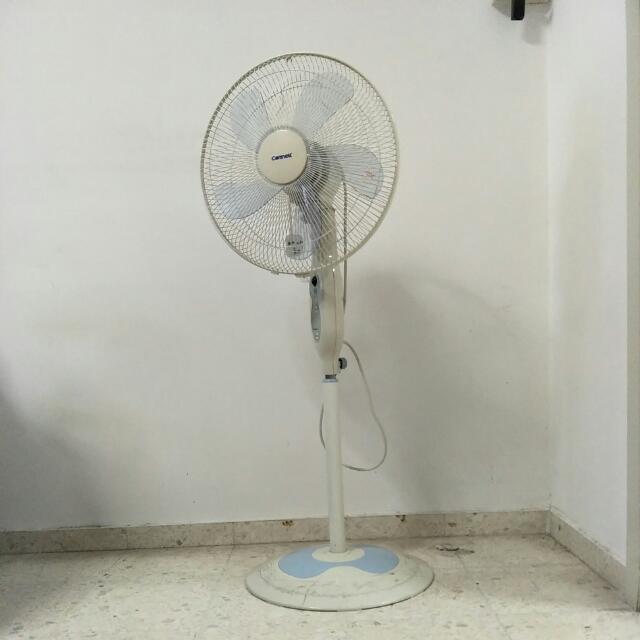 tall standing fan