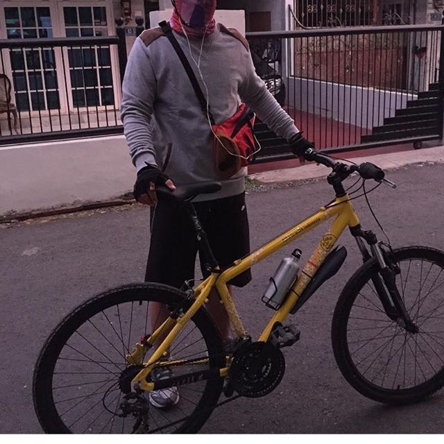 polygon bike to work