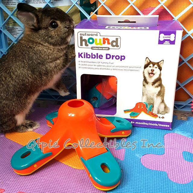 dog cat rabbit puzzle