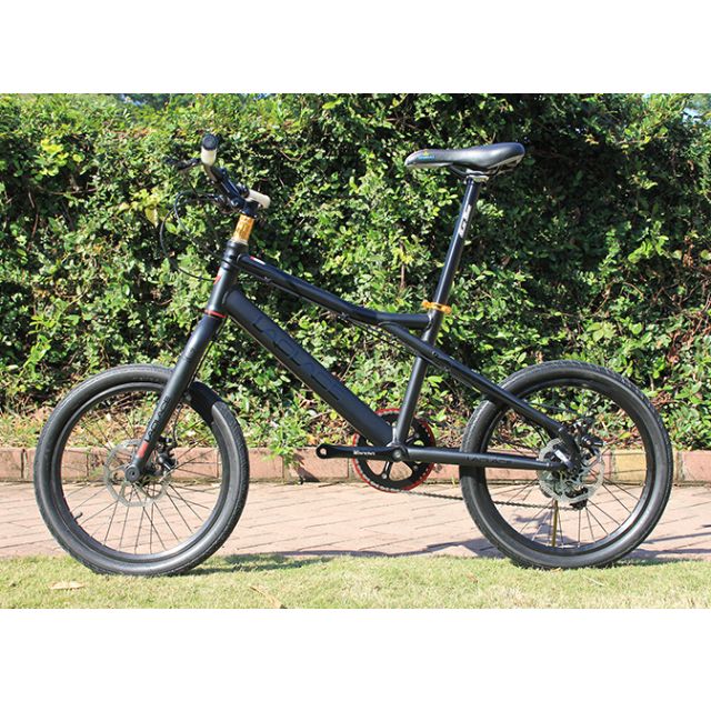 Preorder Brand New LAPLACE Single fork 20er bike bicycle