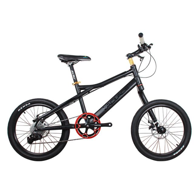 Preorder Brand New LAPLACE Single fork 20er bike bicycle