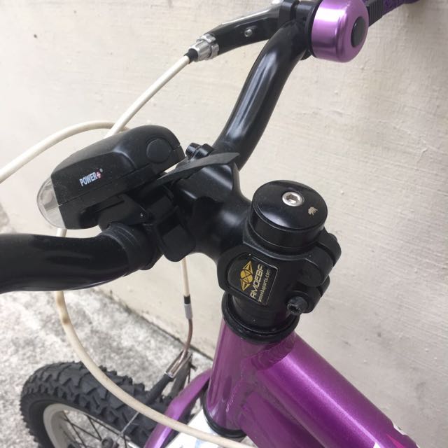 schwinn mini mesa 20