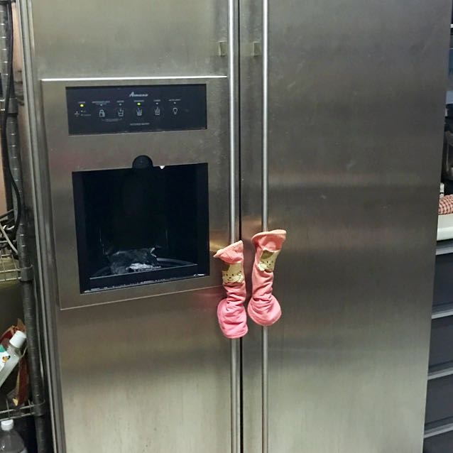 Amana Fridge FOC 1 Water Filter, TV & Home Appliances, Kitchen