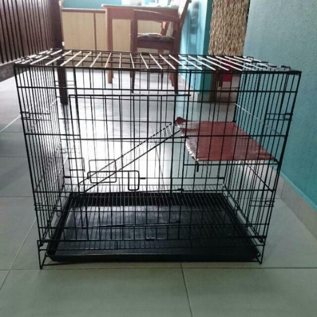 Cage For Kitten, Pet Supplies, Homes & Other Pet Accessories on Carousell