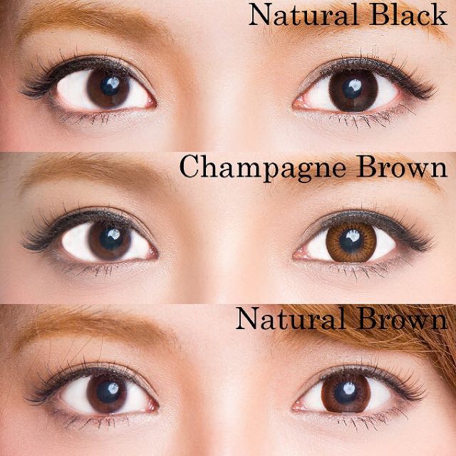 Evercolor 1 Day Natural Japan Contact Lens, Beauty & Personal Care