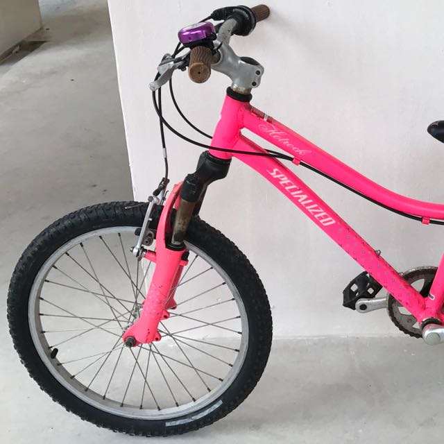 Specialized Hotrock