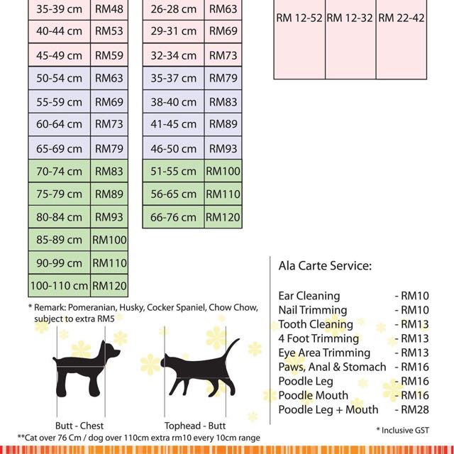 Cat clearance grooming cost