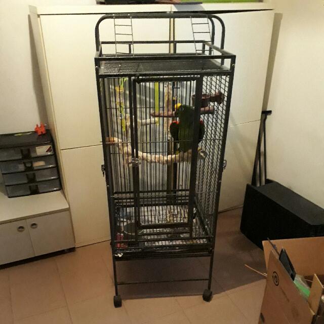 Parrot cage for sale (Amazon and Grey type), Pet Supplies, Homes