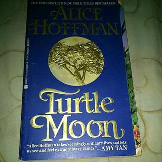 Turtle Moon By Alice Hoffman