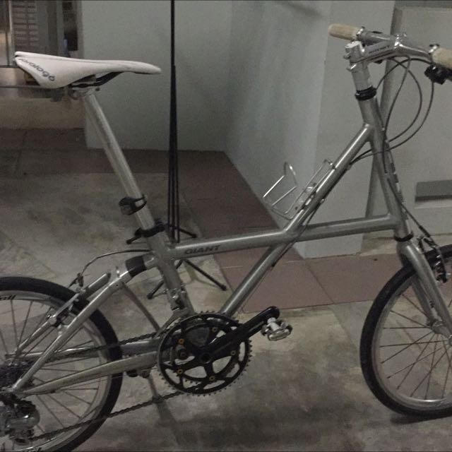 giant flight bike
