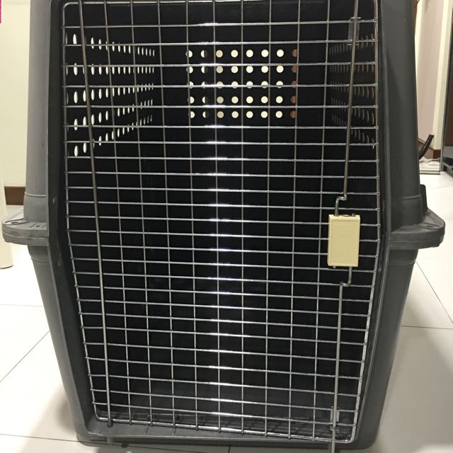 PP 70 Airline Approved Pet Crate Giant, Pet Supplies, Homes & Other Pet