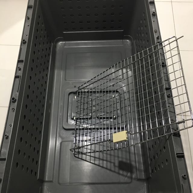 PP 70 Airline Approved Pet Crate Giant, Pet Supplies, Homes & Other Pet