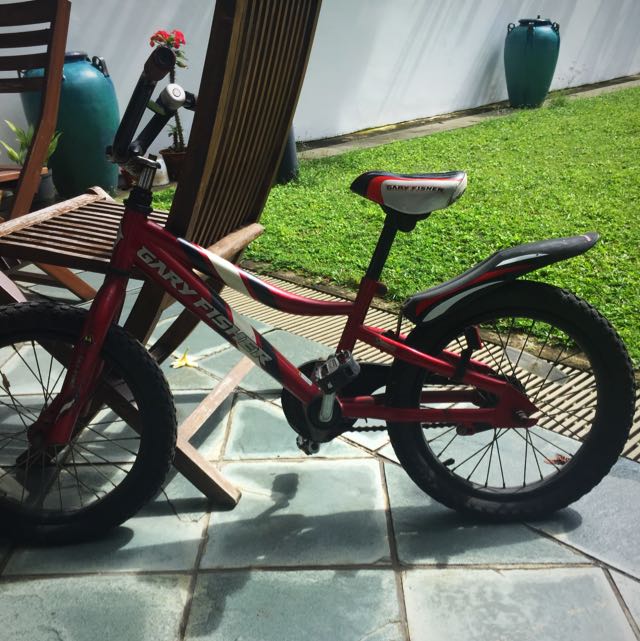 Gary fisher kids bike outlet