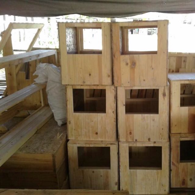 Sangkar Kucing Diy Pallet - Pagar Rumah