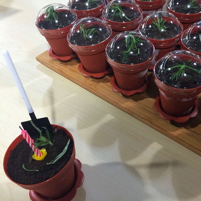 Flower Pot IceCream Cake, Food & Drinks, Chilled & Frozen Food on