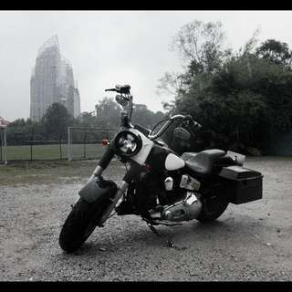 ✠ 1994 Harley Davidson Softail Fatboy Custom ✠