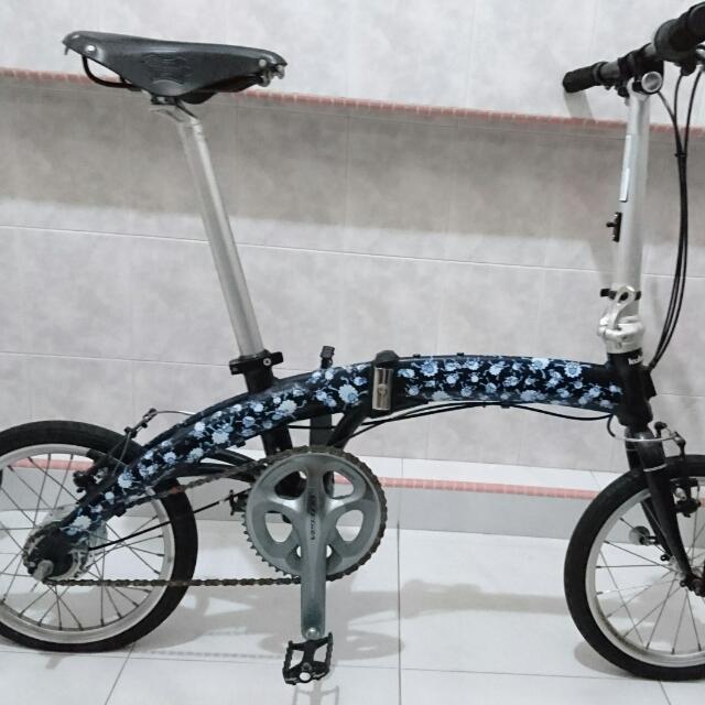 dahon kukuxumusu