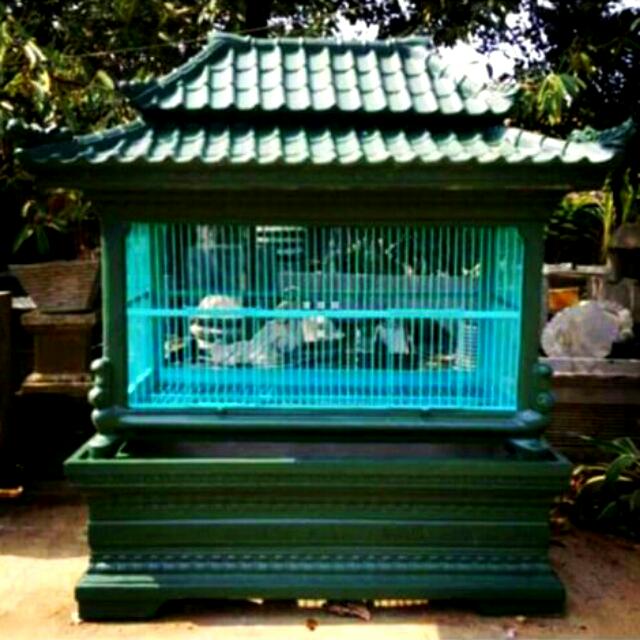 Kandang Burung Dara Kipas Pet Supplies Accessories On Carousell