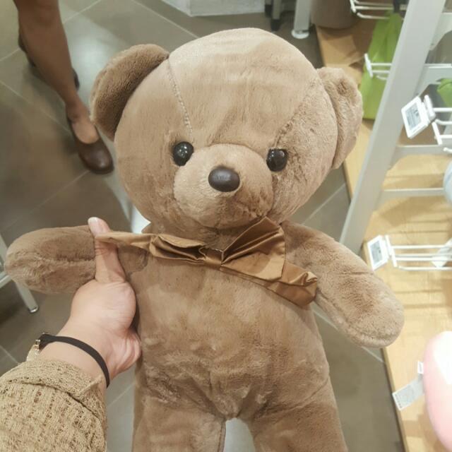 miniso brown bear