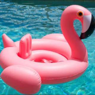 Flamingo Floater For Babies