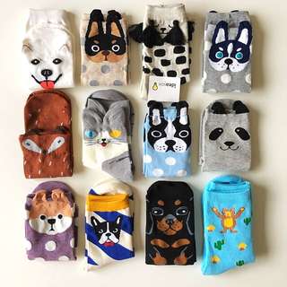 Animals Socks