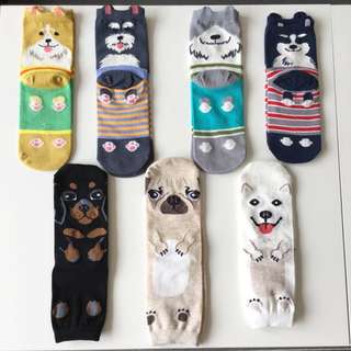 Animals Socks