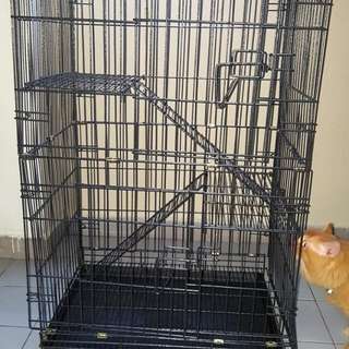 New Cat Cage