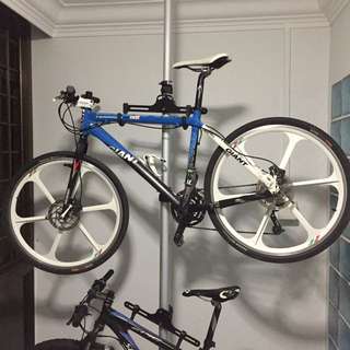 Giant Terrago (Clearance)