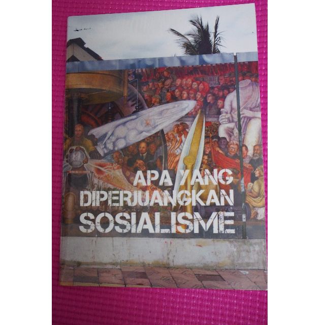 Buku Apa Yang Diperjuangkan Oleh Sosialisme, Hobbies & Toys, Books