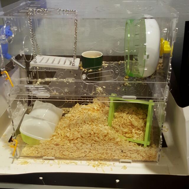 Beautiful view of Clear Acrylic Hamster Cage