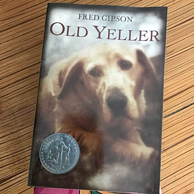 Pre Loved Old Yeller Books Books On Carousell