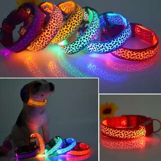 BN 🆕 Dog Collar With Cool Led Leopard Print
