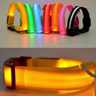 BN 🆕 Dog Collar Led Cool Style Light