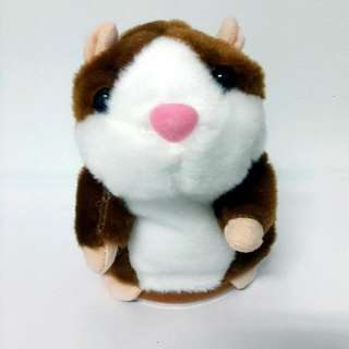 🆕🔞說話小倉鼠 Recording dialogue hamster