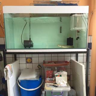 3ft Tank For Sale, Swap Or Trafe