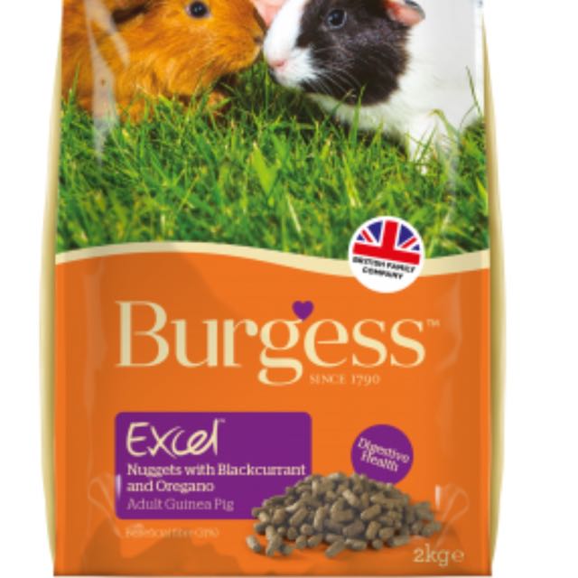 Brand New Burgess Guinea Pig Pellets Pet Supplies Pet Food on Carousell